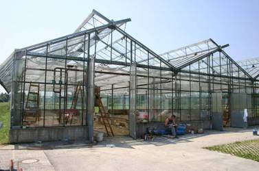 Dokončanje rastlinjaka na novi lokaciji botaničnega vrta ob biološkem središču