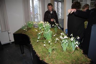 razstava zvončkov, Arboretum Kalmthout, galanthus nivalis, dnevi zvončkov