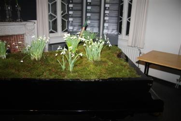 razstava zvončkov, Arboretum Kalmthout, galanthus nivalis, dnevi zvončkov, klavir zvončkov