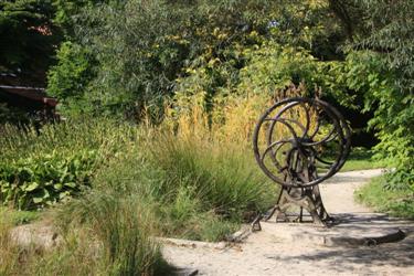 arboretum, arboretum botanični vrt, drevesni del, vodno kolo