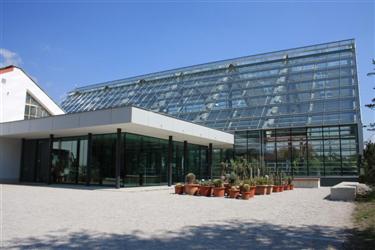 Tropical glasshouse, Tropical plants, botanic garden, botanic garden glasshouse, Tropical greenhouse