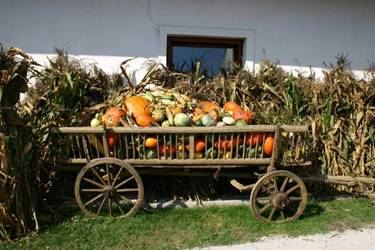 strahci iz buč, noč čarovnic, voz buč, buče na vozu, razstava buč, okrasne buče