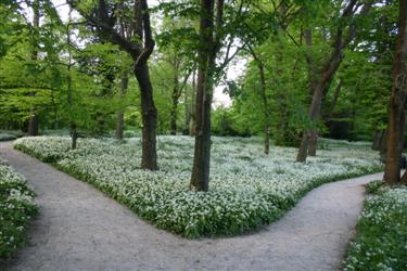 arboretum, botanični vrt, park, parki, ljubljana, univerza v ljubljani