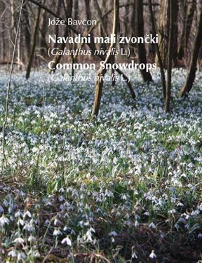 common snowdrops, galanthus nivalis, book