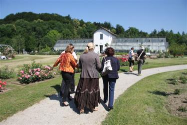 rožni vrt, rastlinjak tivoli, vrtnice, tivoli, zavod za turizem, društvo ljubiteljev vrtnic, tivolski rastlinjak