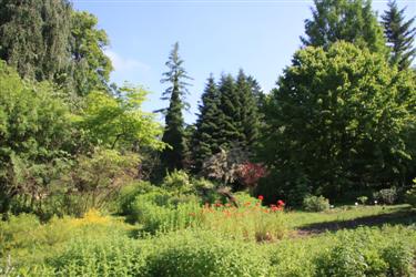 arboretum, botanični vrt, biotehniška fakulteta, oddelek za biologijo, univerza v ljubljani