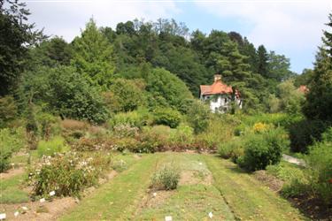 arboretum, botanični vrt, biotehniška fakulteta, oddelek za biologijo, univerza v ljubljani