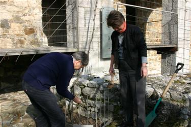 fleischamannov rebrinec, ljubljanski grad, najstarejša trta, ljubljanski grič, vinska trta, navadni rebrinec, zavod Ljubljanski grad