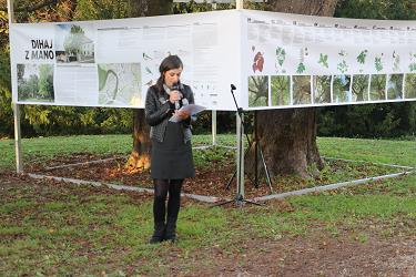 dihaj z mano, mestno drevje v Novem mestu