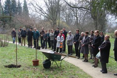 prof. dr. Farinka Soban, kavkaška hruška, Jože Rupreht, posaditev sadik