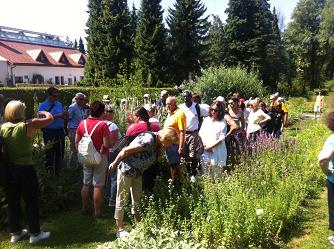 pohod po cebelji poti, cebelja pot