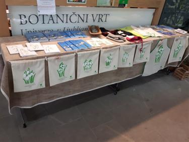 Festival zvončkov 2016 v botaničnem vrtu snowdrop festival 2015