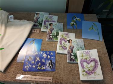 Festival zvončkov 2016 v botaničnem vrtu snowdrop festival 2015 2225