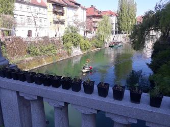 za lepso ljubljano