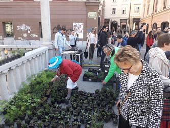 za lepso ljubljano