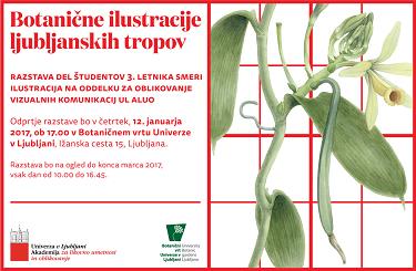 Botanične ilustracije ljubljanskih tropov botanicne ilustracije ljubljanskih tropov