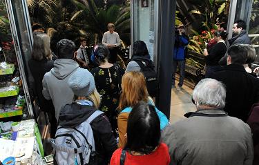 Botanične ilustracije ljubljanskih tropov botanicne ilustracije ljubljanskih tropov