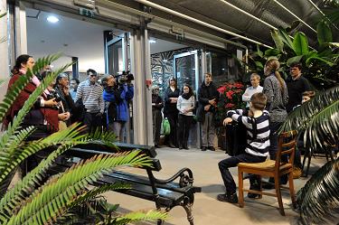 Botanične ilustracije ljubljanskih tropov botanicne ilustracije ljubljanskih tropov