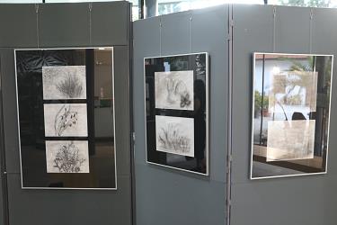 Svetlana Makarovič: Zeliščarka svetlana makarovic, zeliscarka