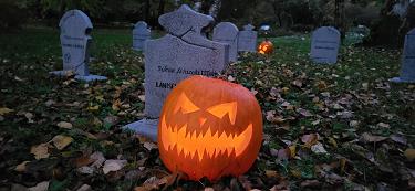 Jesen v botaničnem vrtu Jesen v botaničnem vrtu