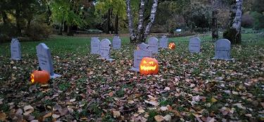 Jesen v botaničnem vrtu Jesen v botaničnem vrtu