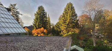 Jesen v botaničnem vrtu