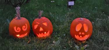 Jesen v botaničnem vrtu