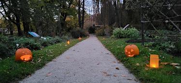 Jesen v botaničnem vrtu Jesen v botaničnem vrtu