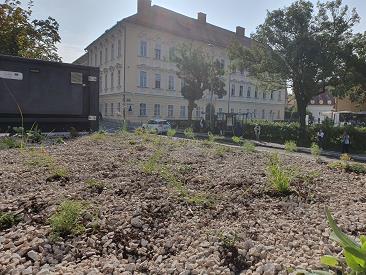 nadstresnice, ljubljanski potniški promet