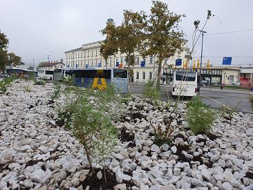 roof gardens, bus station, roof gardens on bus station