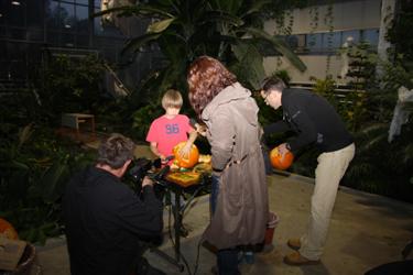 izrezovanje buč, izrezovanje strahcev, netopirji, duhci, čarovnice, buče, haloween, izdelki iz buč, izdelava pajkov, čarovniške paloce, čarovniška metla, čarobniški napoji, bučni kompot, merica kostanja