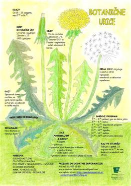 botanične urice, počitniško varstvo, aktivne počitnice, varstvo otrok, počitniško varstvo otrok, varstvo otrok, poletno varstvo