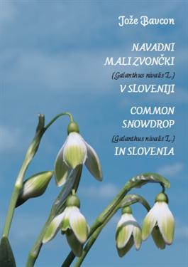 navadni mali zvončki, raznolikost zvončkov, galanthus nivalis, jože bavcon, zvonček, zvončki, belina zvončkov, znanilci pomladi