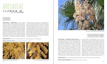 floral formulas of plant families in the university botanic gardens