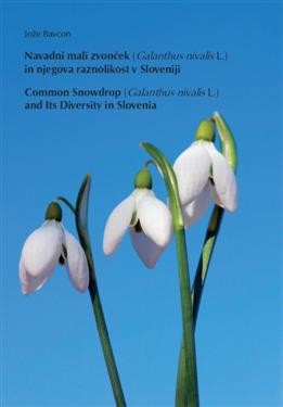 zvončki, zvonček, beli zvončki, navadni zvončki, navaden zvonček, galanthus, sorte zvončki