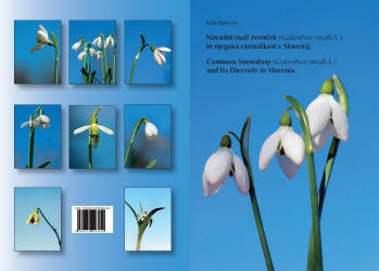 Common Snowdrops, Galanthus nivalis, Diversity, Slovenia