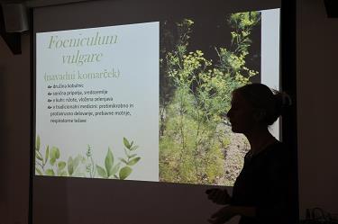 Predstavitev znamk divje začimbe Predstavitev znamk divje začimbe