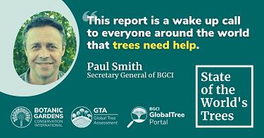 BGCI trees report 2021