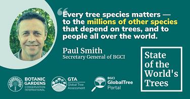 BGCI poročilo o stanju dreves na svetu 2021