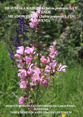 meadow clary, salvia pratensis, salvia pratensis slovenia, index seminum 2014