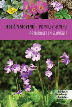 Jegliči v Sloveniji